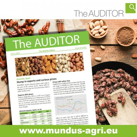 The Auditor Issue Mundus Agri