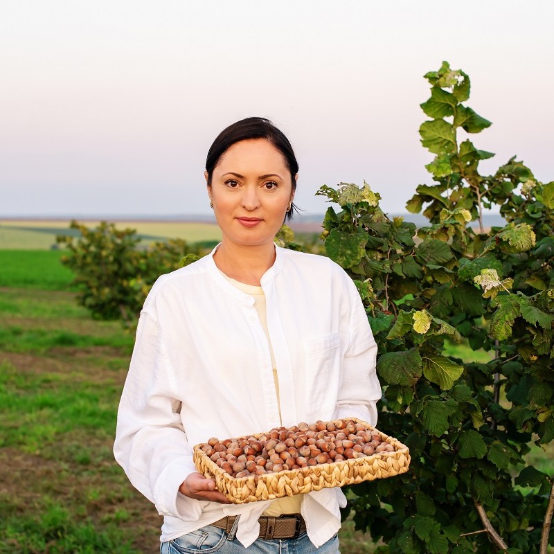 Hazelnuts shockingly low productivity Mundus Agri