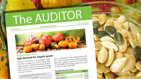 The Auditor Issue Mundus Agri