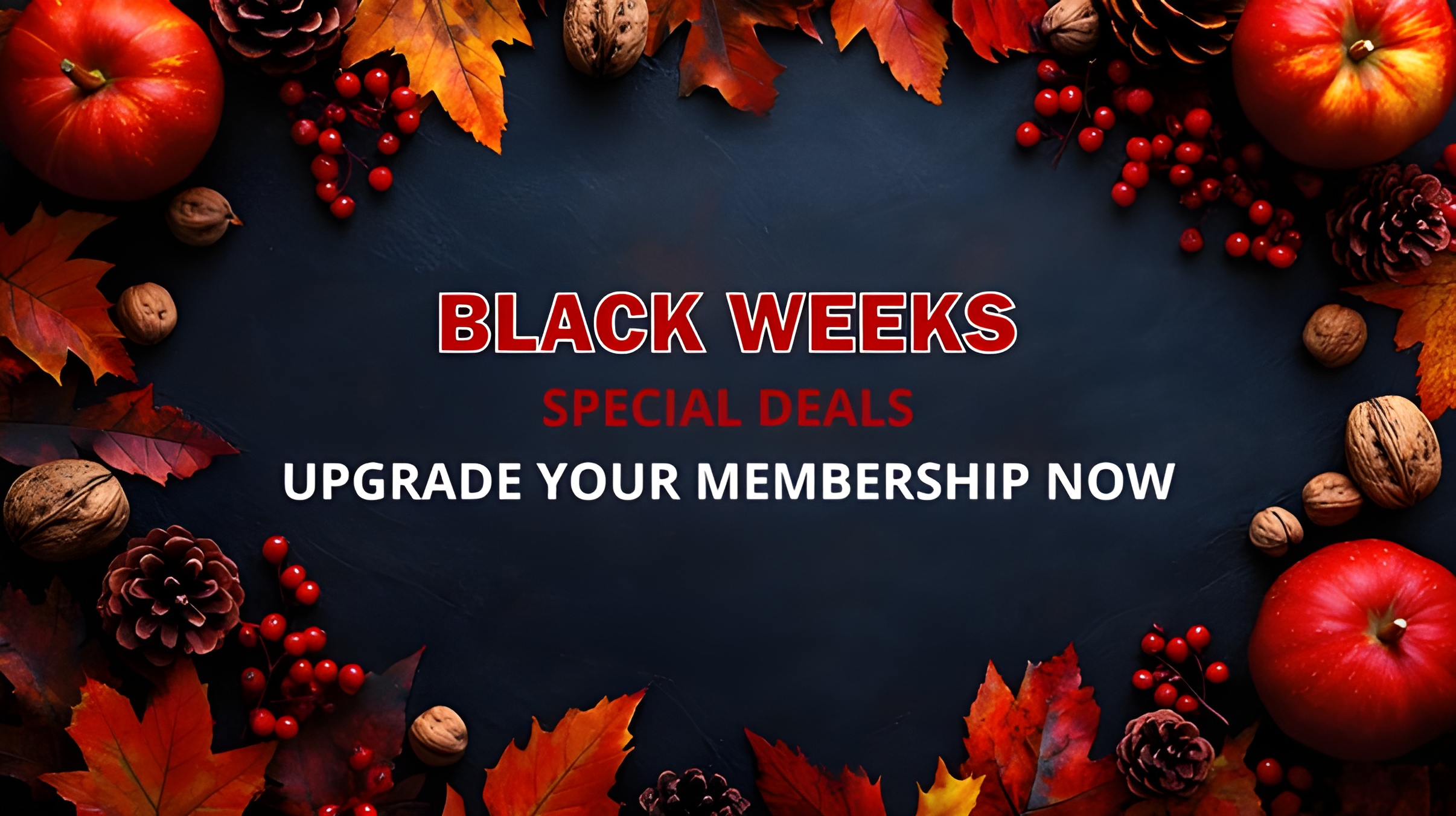 Black Week Promotion